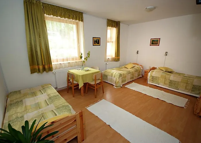 アパートホテル Centrum Apartmanhaz ペーチ